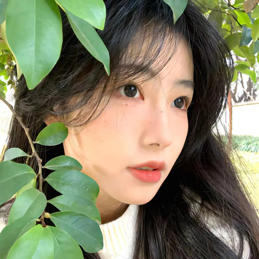 我的街区第二季